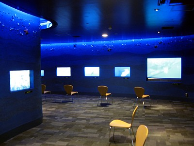 �A�N�A�V�A�^�[