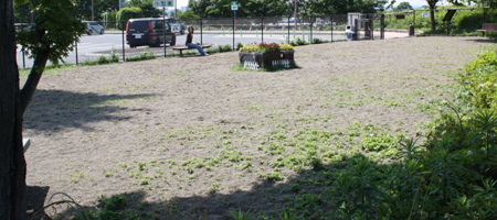 �h�b�O����